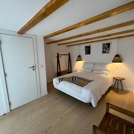 Guest house Constancia Guest House *