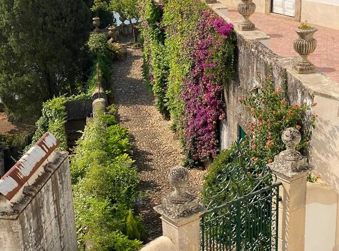 Constancia Guest House 4* Constância